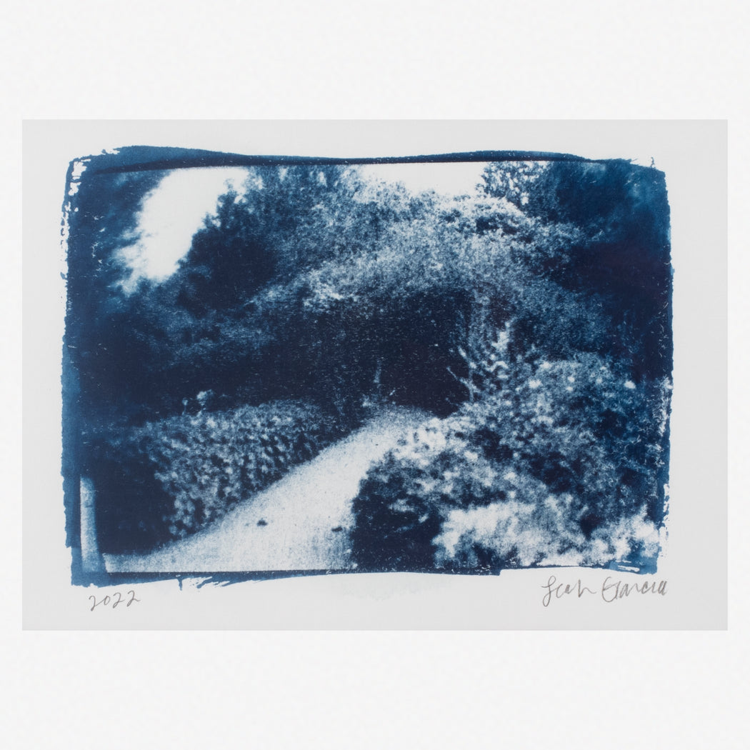 Cyanotype Print 